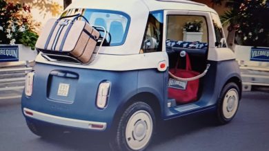 Photo of Fiat Topolino specijal za ljeto je bez vrata.
